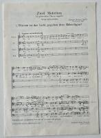 Zwei Motetten, Op. 74, 1. Warum ist das Licht gegeben dem M&uuml;hseligen?