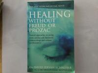 Healing without Freud or prozac