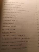 V&auml;rldslitteraturen i urval och &ouml;vers&auml;ttning. Del 1: Antiken