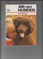 Allt om hunden