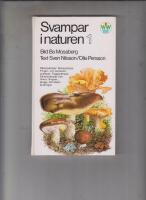 Svampar i naturen