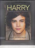 Harry : en biografi om Harry Styles i One Direction
