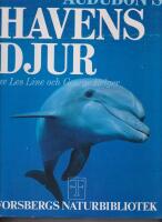 Audubon's havens djur