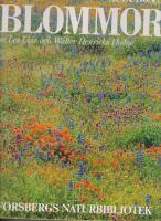 Blommor