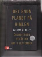 Det enda planet p&aring; himlen : &ouml;gonvittnen ber&auml;ttar om 11 september