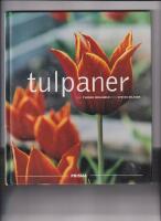 Tulpaner