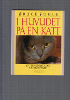 I HUVUDET P&Aring; EN KATT