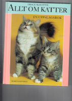 allt om katter