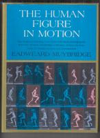 THE HUMAN FIGURE IN MOTION