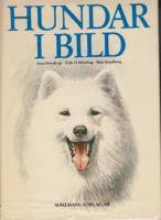 Hundar i bild