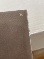 Stridsvagnen p&aring; slagf&auml;ltet