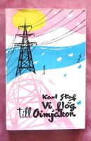 Vi fl&ouml;g till Oimjakon. Sibiriskt reportage i ord och bild.