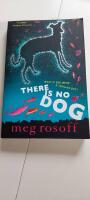 There is no dog