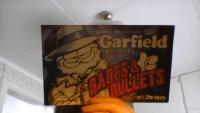 Garfield presents Babes & Bullets