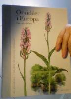 Orkid&eacute;er i Europa : vilda, vackra & v&auml;na