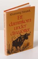 Ett dammkorn under dina f&ouml;tter. Noveller fr&aring;n Thailand