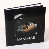 Hammar