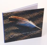 Bilder och bl&auml;nk fr&aring;n en ljugareb&auml;nk