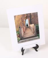 Die Bauten der Insel Hombroich