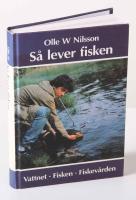 S&aring; lever fisken. Vattnet - fisken - fiskev&aring;rden