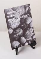 Stenblocken utanf&ouml;r museibyggnaden