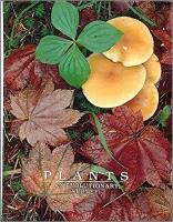 Plants - an evolutionary survey