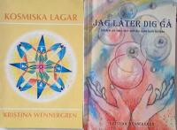 Jag l&aring;ter dig g&aring; : d&ouml;den &auml;r inte det v&auml;rsta som kan h&auml;nda / Kosmiska lagar