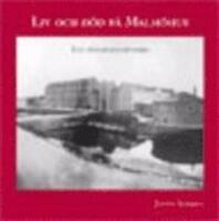 Liv och d&ouml;d p&aring; Malm&ouml;hus : ett f&auml;ngelses historia