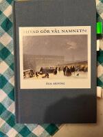 Hvad g&ouml;r v&auml;l namnet? : anonymitet och varum&auml;rkesbyggande i svensk litteraturkritik 1820-1850