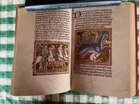 Liber Bestiarum. MS Bodley 764