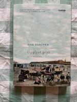 Upplyst gryt : sanatoriedagbok [Serie Europa]