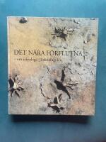 Det n&auml;ra f&ouml;rflutna - om arkeologi i J&ouml;nk&ouml;pings l&auml;n