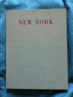 New York: V&auml;rldsstad i v&auml;ster