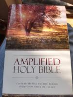 Amplified holy bible