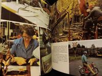 Svenska turistf&ouml;reningen &aring;rsskrift 1981 Dalsland 