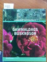 Gammaldags buskrosor