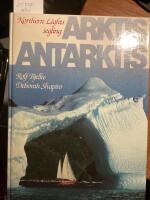 Arktis Antarktis, northern lights segling