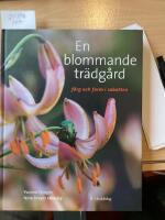 En blommande tr&auml;dg&aring;rd, f&auml;rg och form i rabatten
