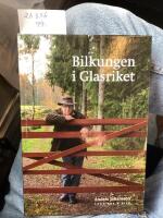 Bilkungen i glasriket 