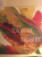 Tulpaner tulpaner