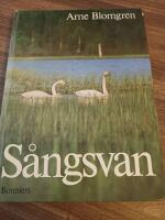 Sångsvan
