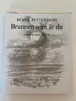 Brunnen som &auml;r du : dikter om k&auml;rlek