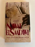 Den stulna romanen