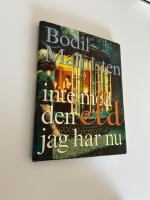 Inte med den eld jag har nu - dikt f&ouml;r annan dam