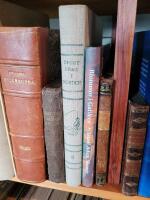 Sportfiske I Norden II