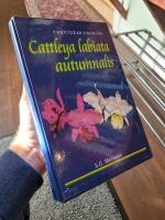 Cattleya labiata autumnalis