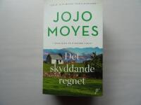 Det skyddande regnet