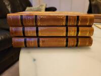 Huset Buddenbrook, Broderskap, Artistk&auml;rlek