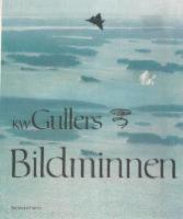 Bildminnen : 50 &aring;r med kameran