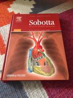 Thorax, abdomen, pelvis, lower limb